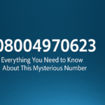 08004970623 – Everything You Need to Know About This Mysterious Number
